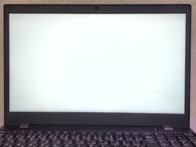 画像1: ThinkPad L15